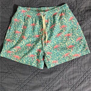 Chubbies swim trunks